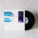 Definite Grooves - Nothing Like The Sound (Vinyl Second Hand) Disco House Dtension – DT010