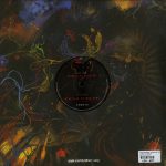 Shaun Soomro - Journey To Delirium (Vinyl) Detroit House Tech House Lick My Deck – LMD012
